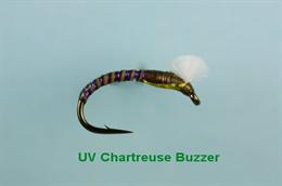 UV Chartreuse Buzzer